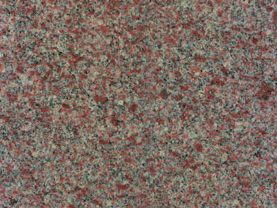 WILD ROSE polished granite